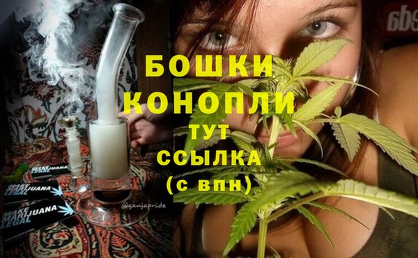 мяу мяу мука Волоколамск