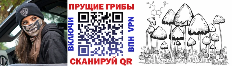 Псилоцибиновые грибы мухоморы  ссылка на мегу маркетплейс  Игарка 